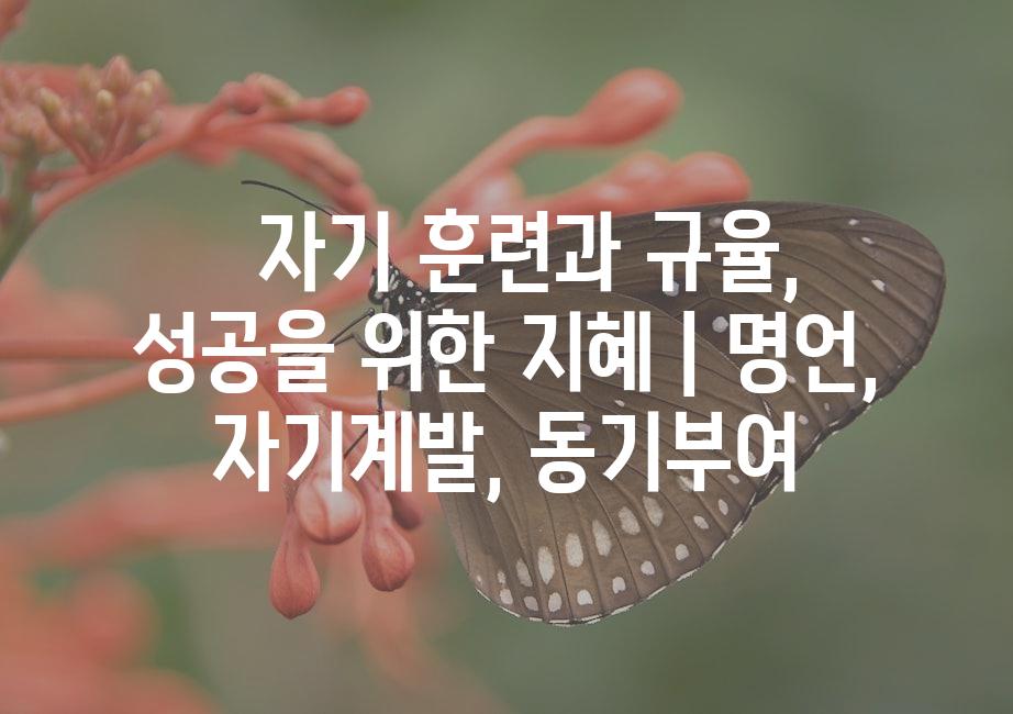 샘플 (51)