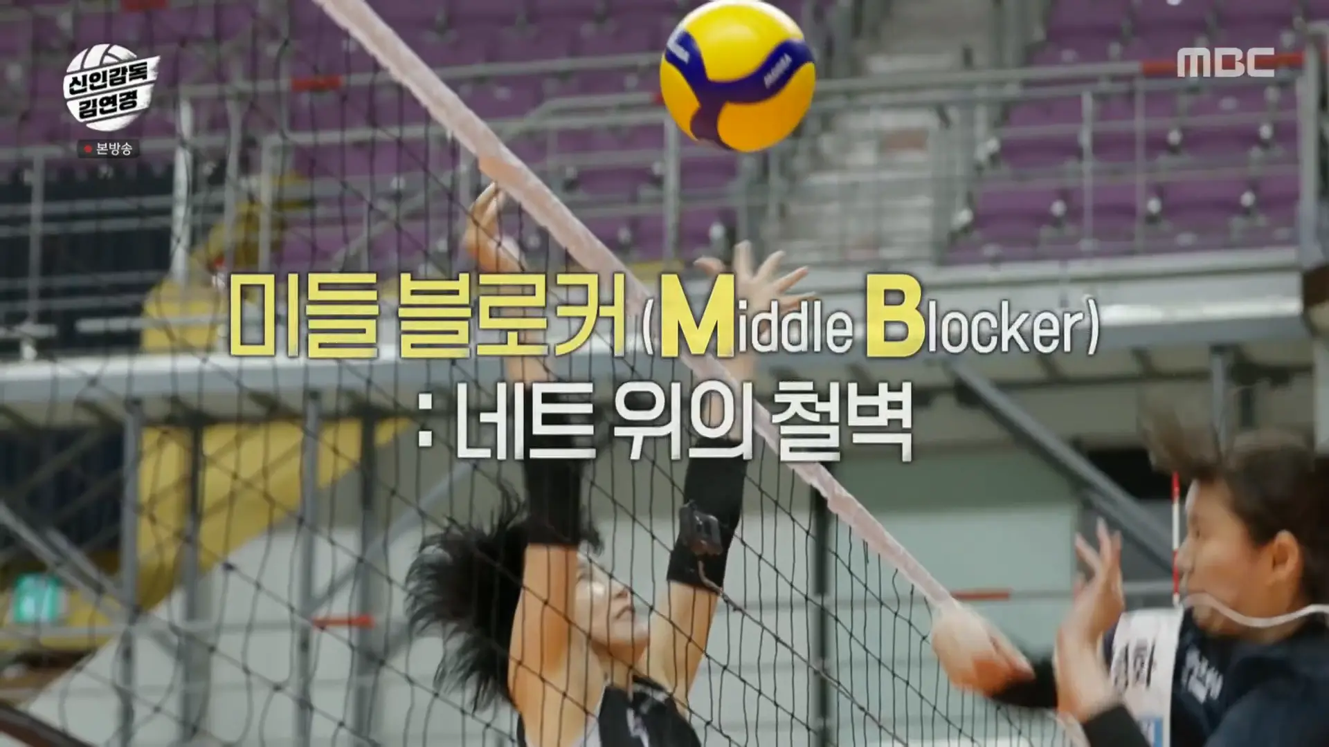 신인감독 김연경 - 여자배구 MB 미들블로커 포지션 역할 블로킹 규칙 정보