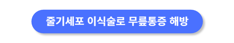 버튼