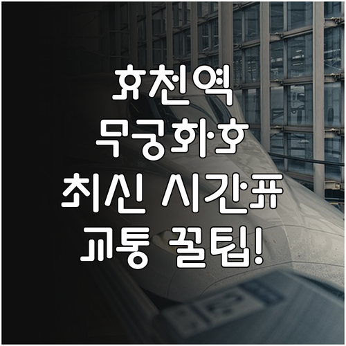 광주 남구 효천역 무궁화호 시간표 및..