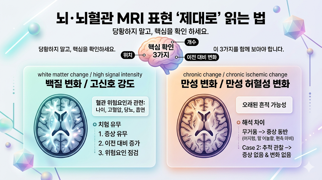 뇌 MRI white matter change와 high signal intensity 해석 인포그래픽