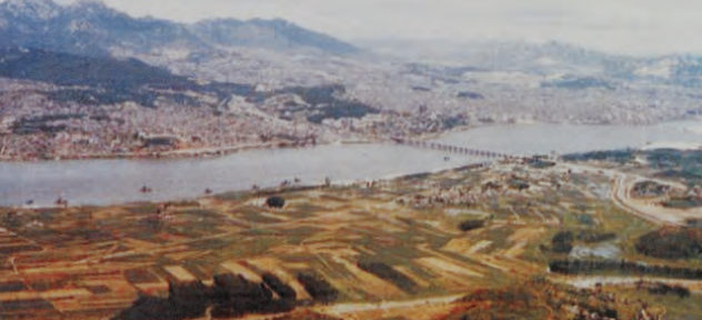1950년대-압구정-전경