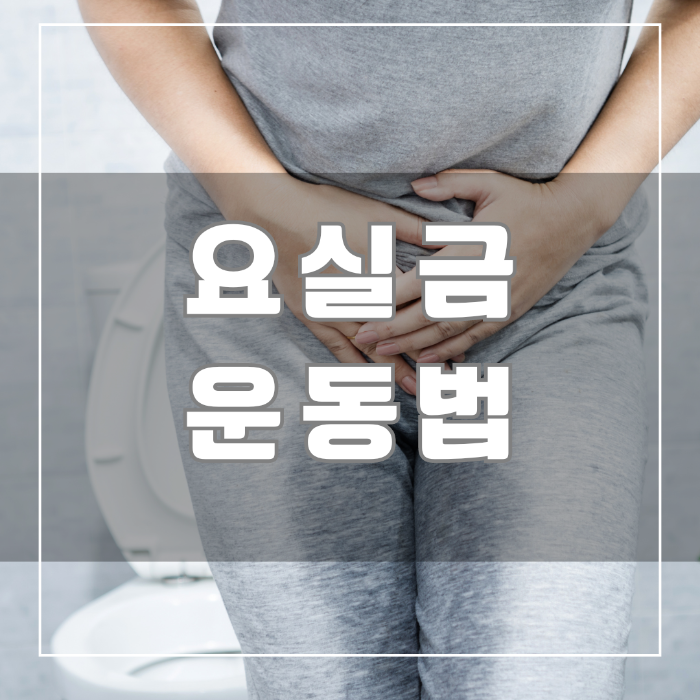 요실금 운동법