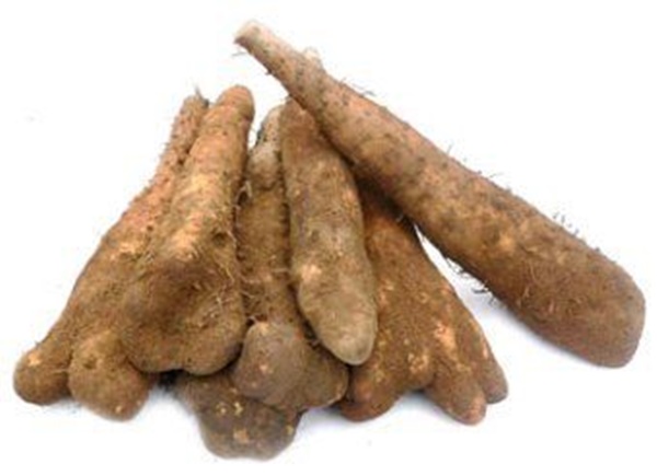 장염에 좋은 음식