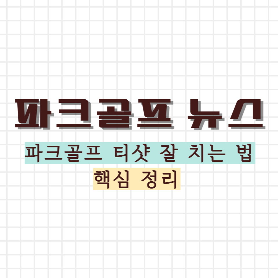 파크골프 티샷 잘 치는 법 썸네일