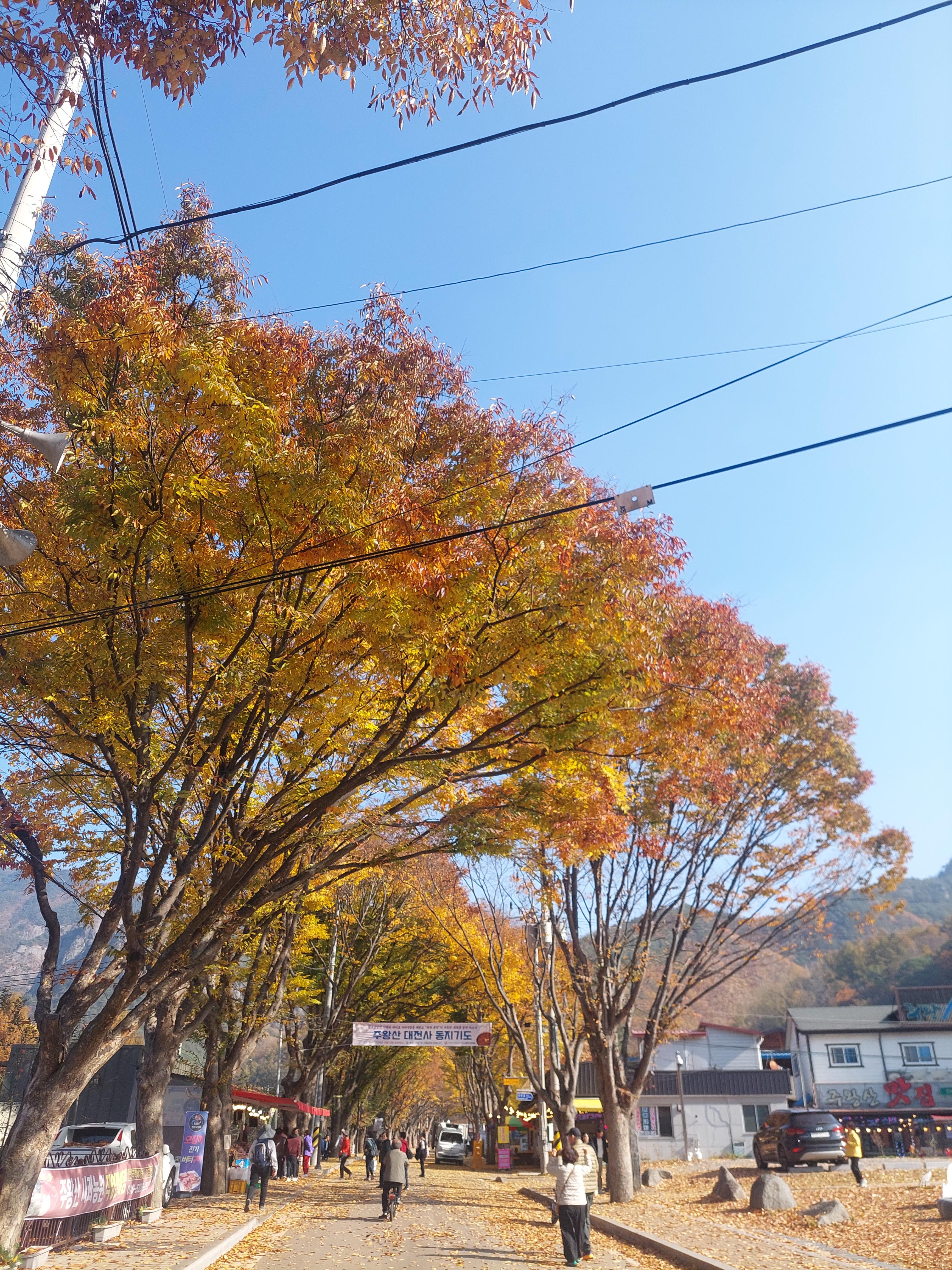 주왕산