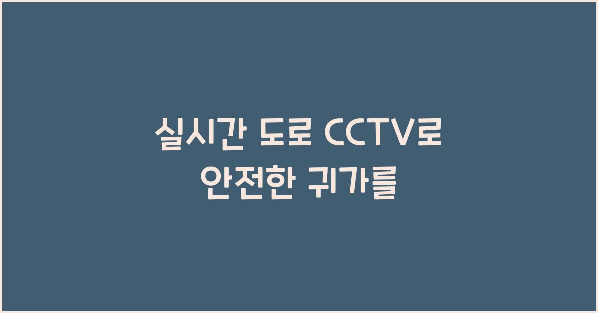 실시간 도로 cctv