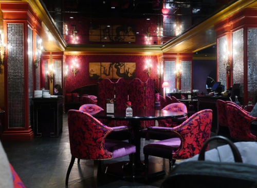 강아지 동반 여행지 추천