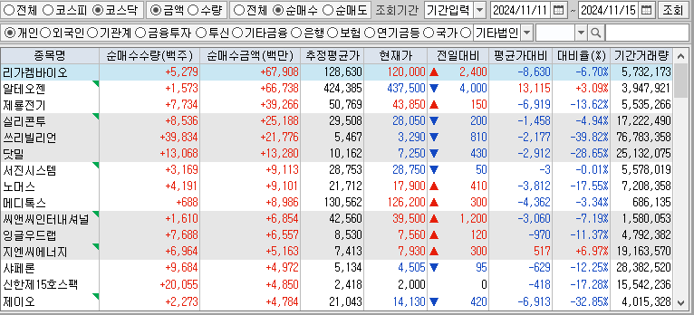 주간 코스닥 개인 순매수