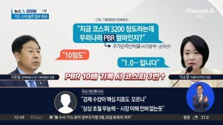 구윤철 기재부장관 pbr 10 발언 논란
