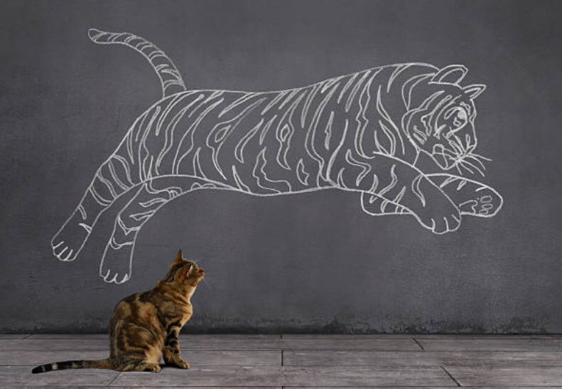 2023년범띠인간관계