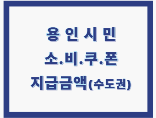 용인시 소비쿠폰