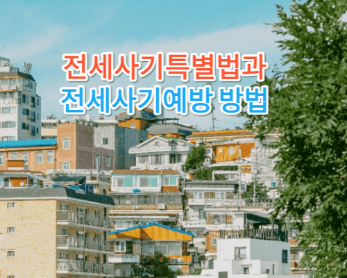 전세사기특별법