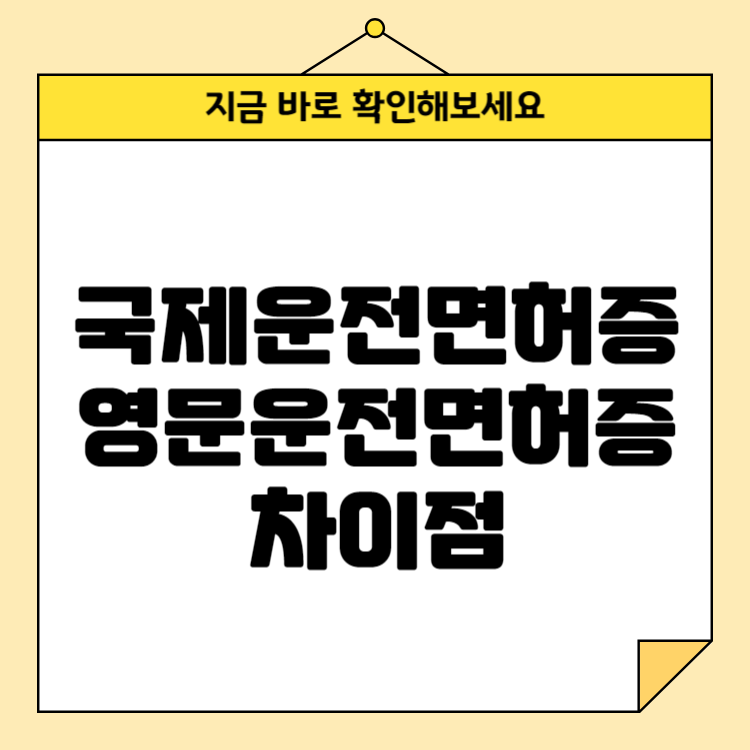 국제운전면허증과 영문운전면허증의 차이점과 발급 팁