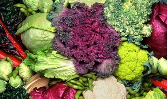 십자화과 채소 종류·효능·부작용 완벽 정리