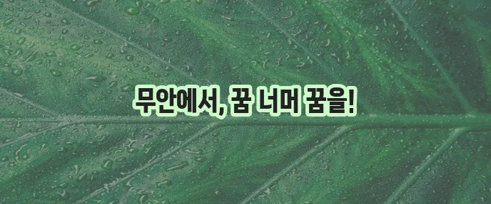 무안출발 해외 여행