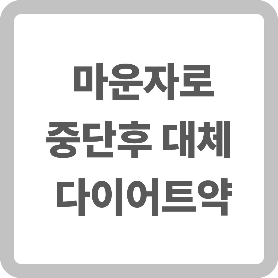 마운자로 중단 후 대체 다이어트 약
