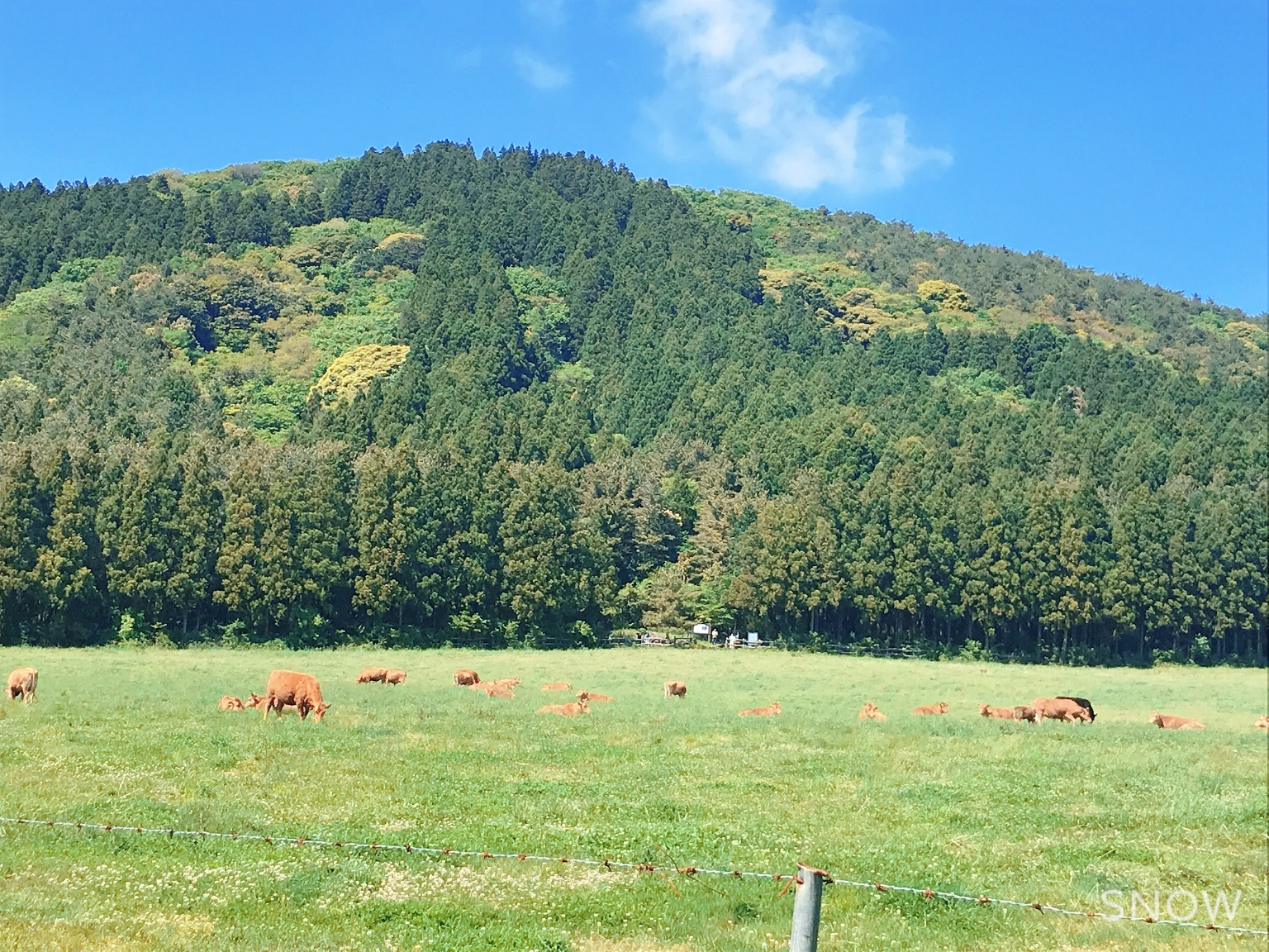 물영라이 오름 입구