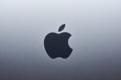 애플 주식 주가 전망, 조회, 차트