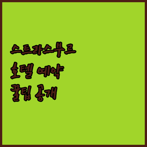 프랑스 스트라스부르 호텔 예약 가이드