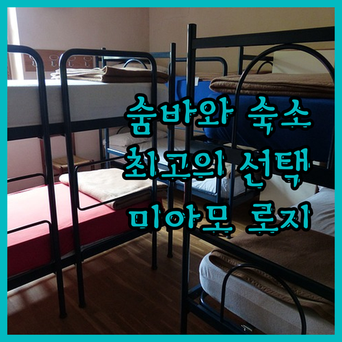 미아모 비치 로지 숨바와 최고의 선택