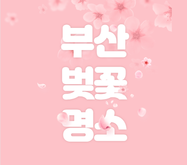 부산 벚꽃 명소