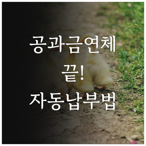 생계비계좌 공과금 연체 방지하는 자동..