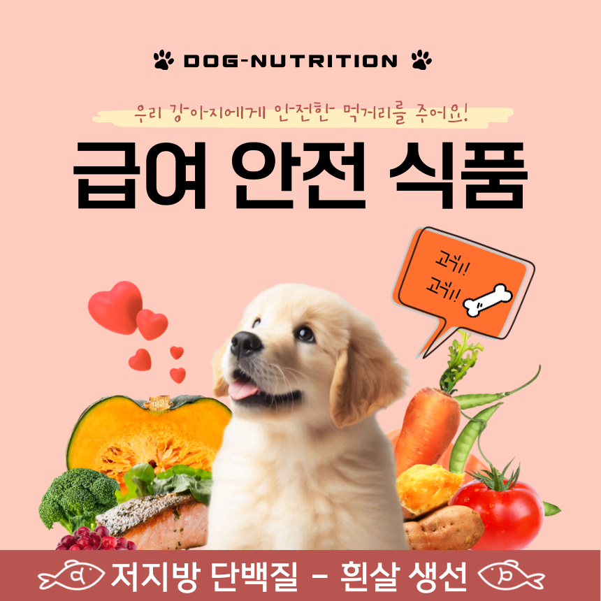 DOG- NUTRITION