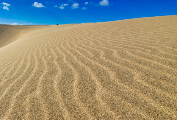 대한민국 최대의 자연사구, 꼭 가봐야 할 이유