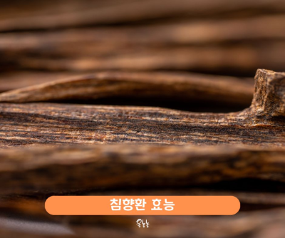 침향환 효능