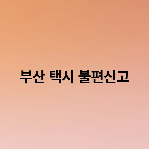 부산 택시 불편신고