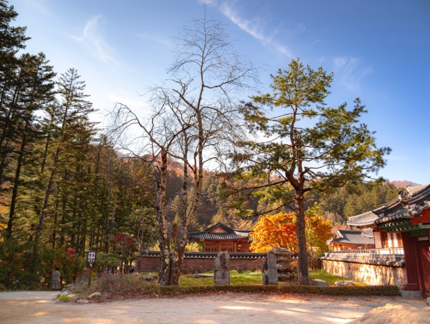 오대산월정사 사진