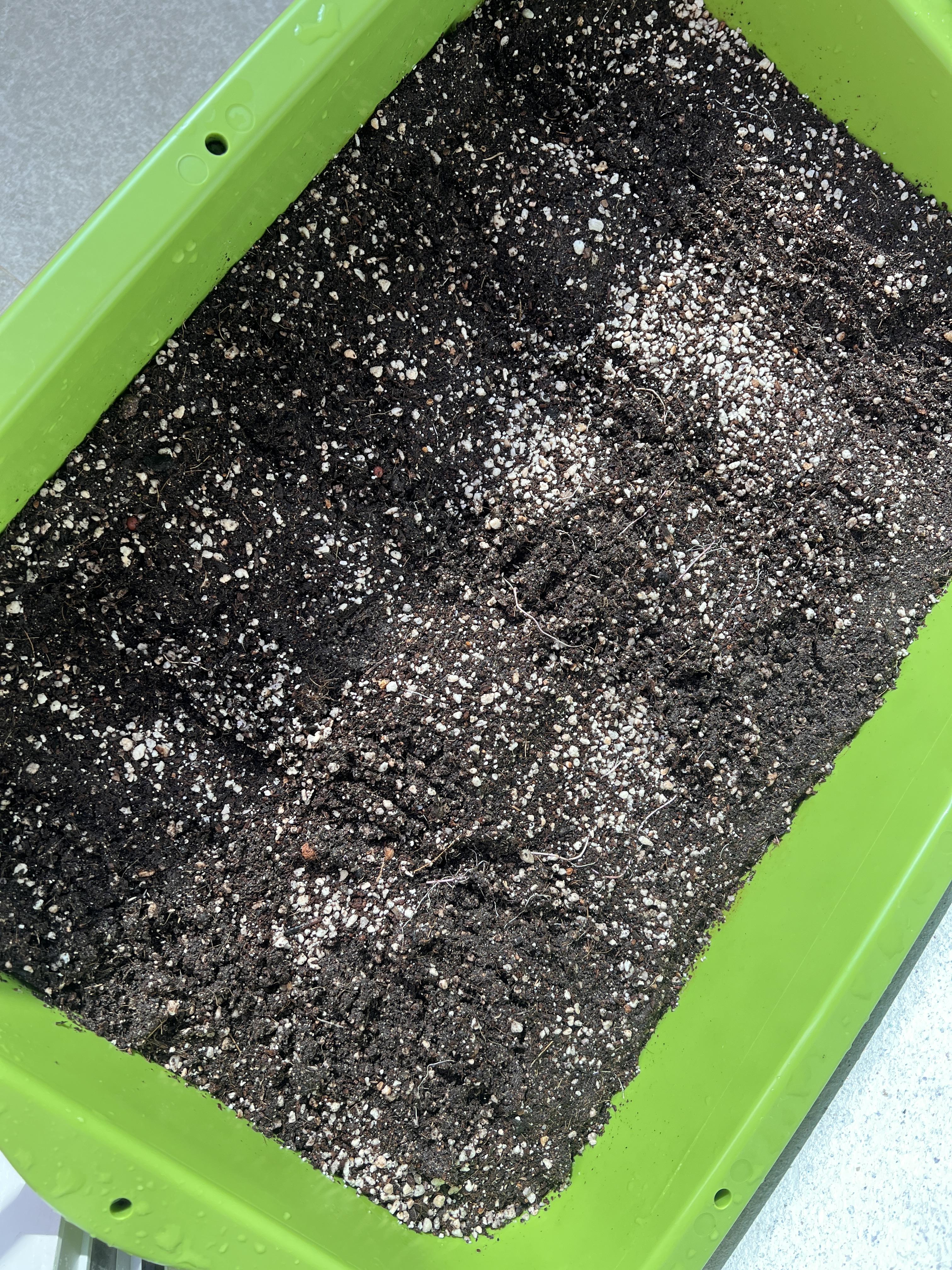 베란다 상자텃밭