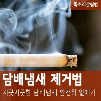 담배 냄새 커튼 탈취 식초분무와 통풍 방향제 대신_4