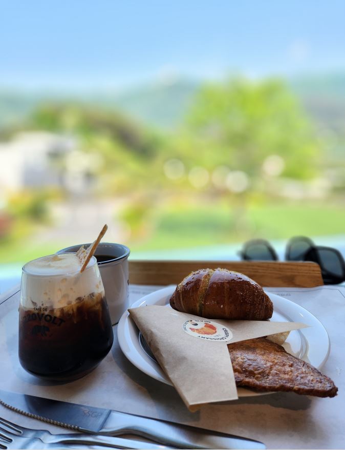 카페드 220 볼트