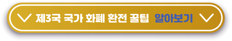 제3국-국가-회폐-꿀팁