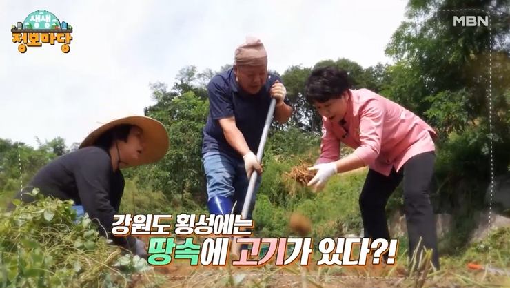 선영밥상 땅속의 고기 더덕, 흑더덕즙, 더덕즙 전국 택배 온라인 주문 강원 횡성 맛집 추천