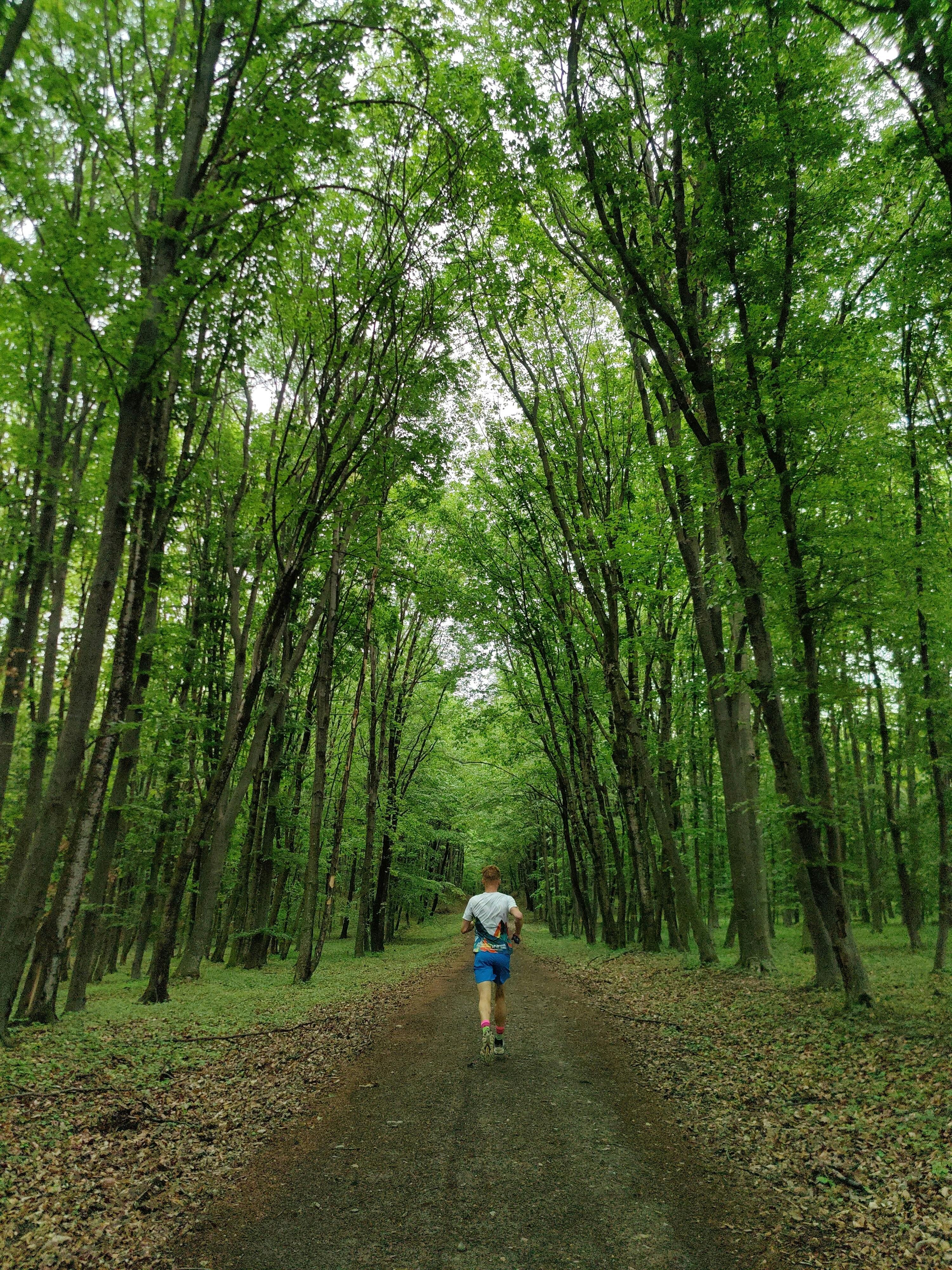 30대 직장인 러닝