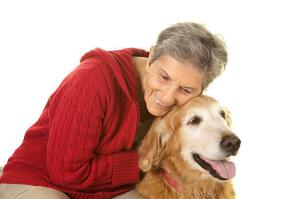 노령견 관리, 꼭 알아야 할 생활 습관과 건강 체크 포인트