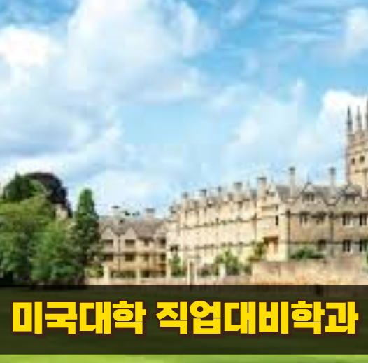 미국 대학 직업별 학과