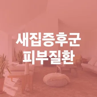 새집증후군 원인 제거 방법 포름알데히드 완전 가이드_23