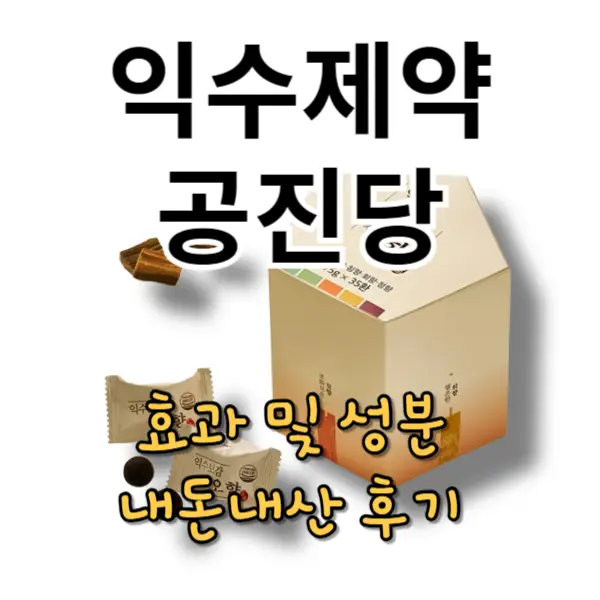 익수제약 공진당 내돈내산 후기 및 효과(성분)
