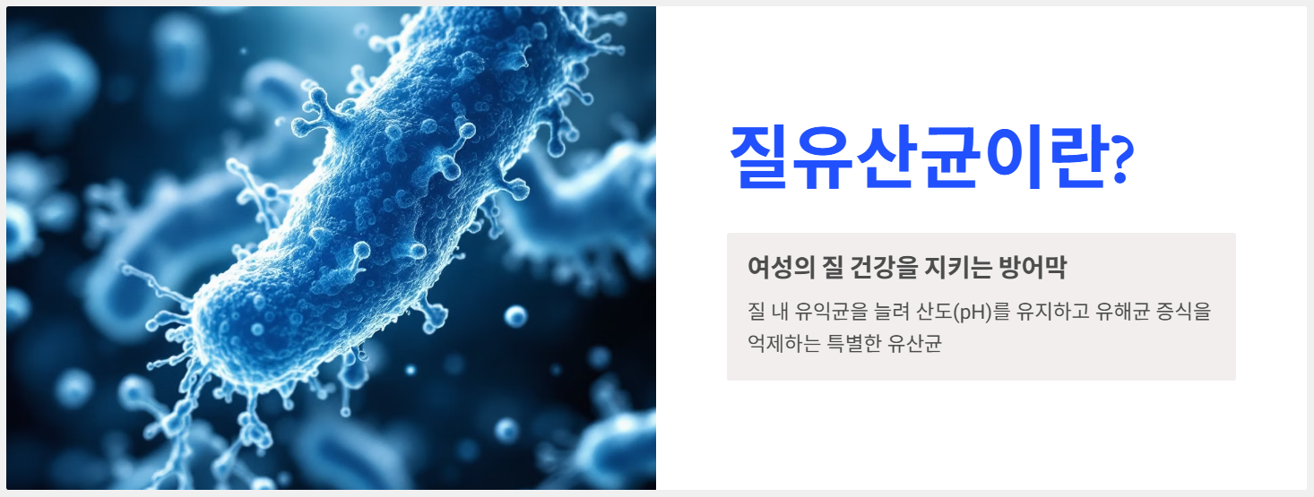 질유산균 이란 무엇인가