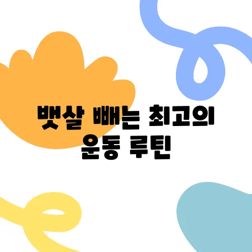 뱃살 빼는 최고의 운동 루틴