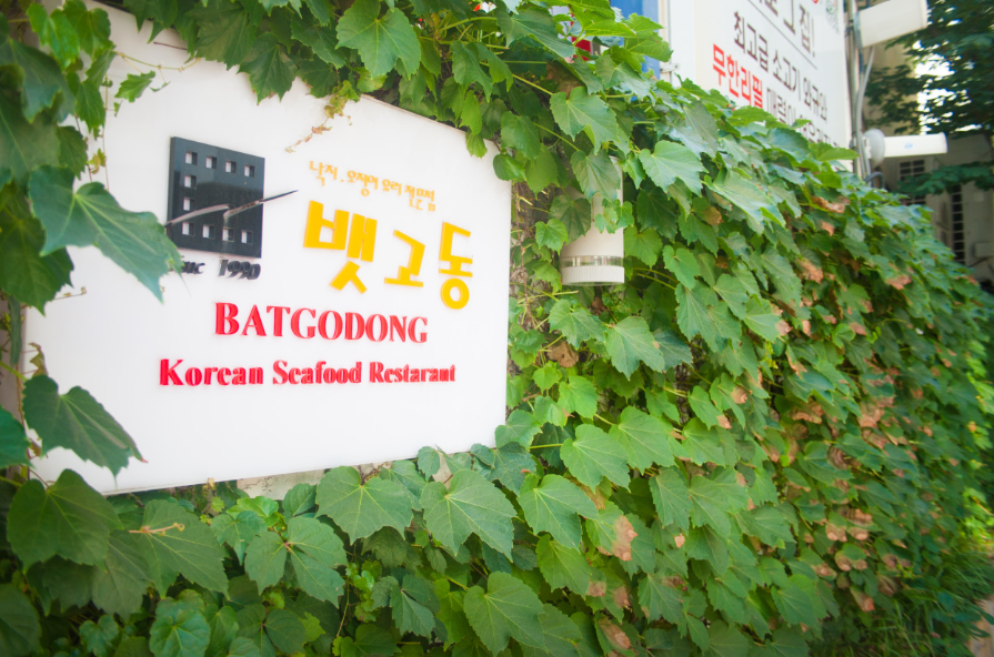 오징어 볶음 맛있게 만드는법 : 뱃고동