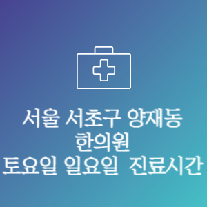 서울 서초구 양재동 한의원 주말 토요일 일요일 문여는 병원 진료시간
