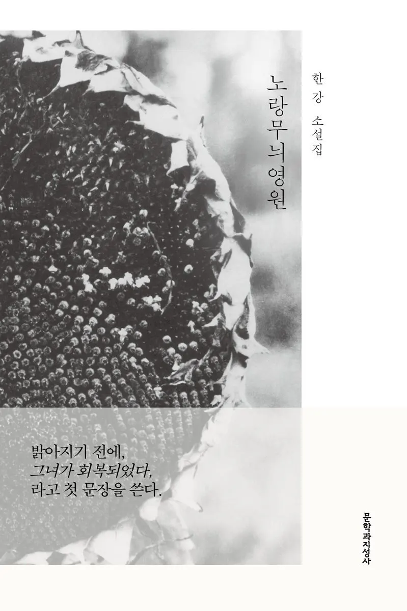 노랑무늬영원 표지