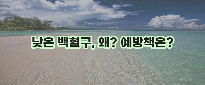 백혈구 수치가 낮은 이유와 예방이 중요합니다.