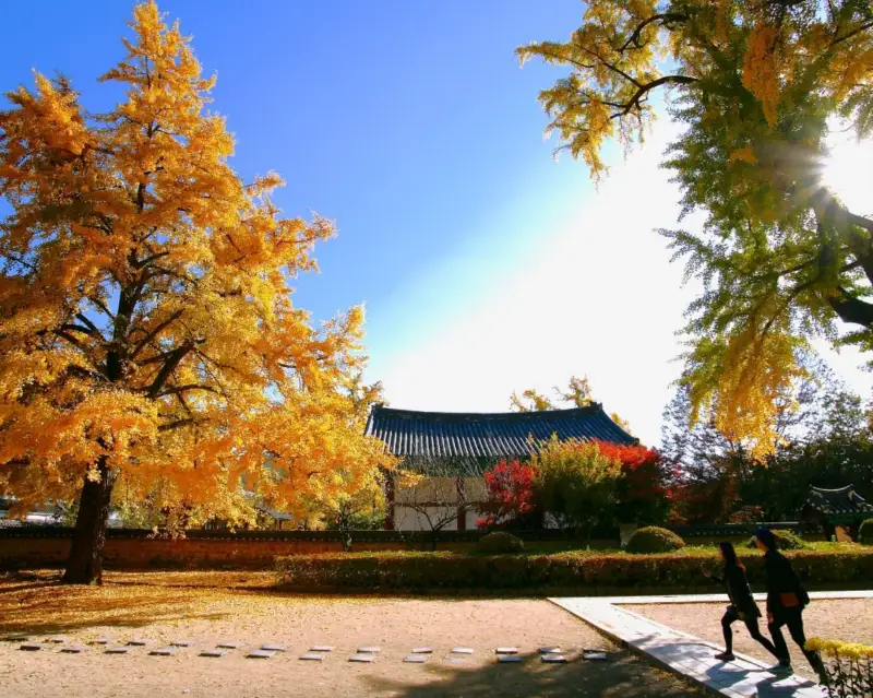 전주한옥마을-마당