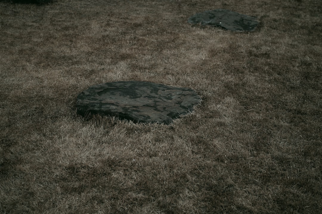 grave cleaning
